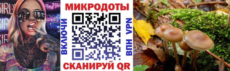 Псилоцибиновые грибы Psilocybe  Болгар 